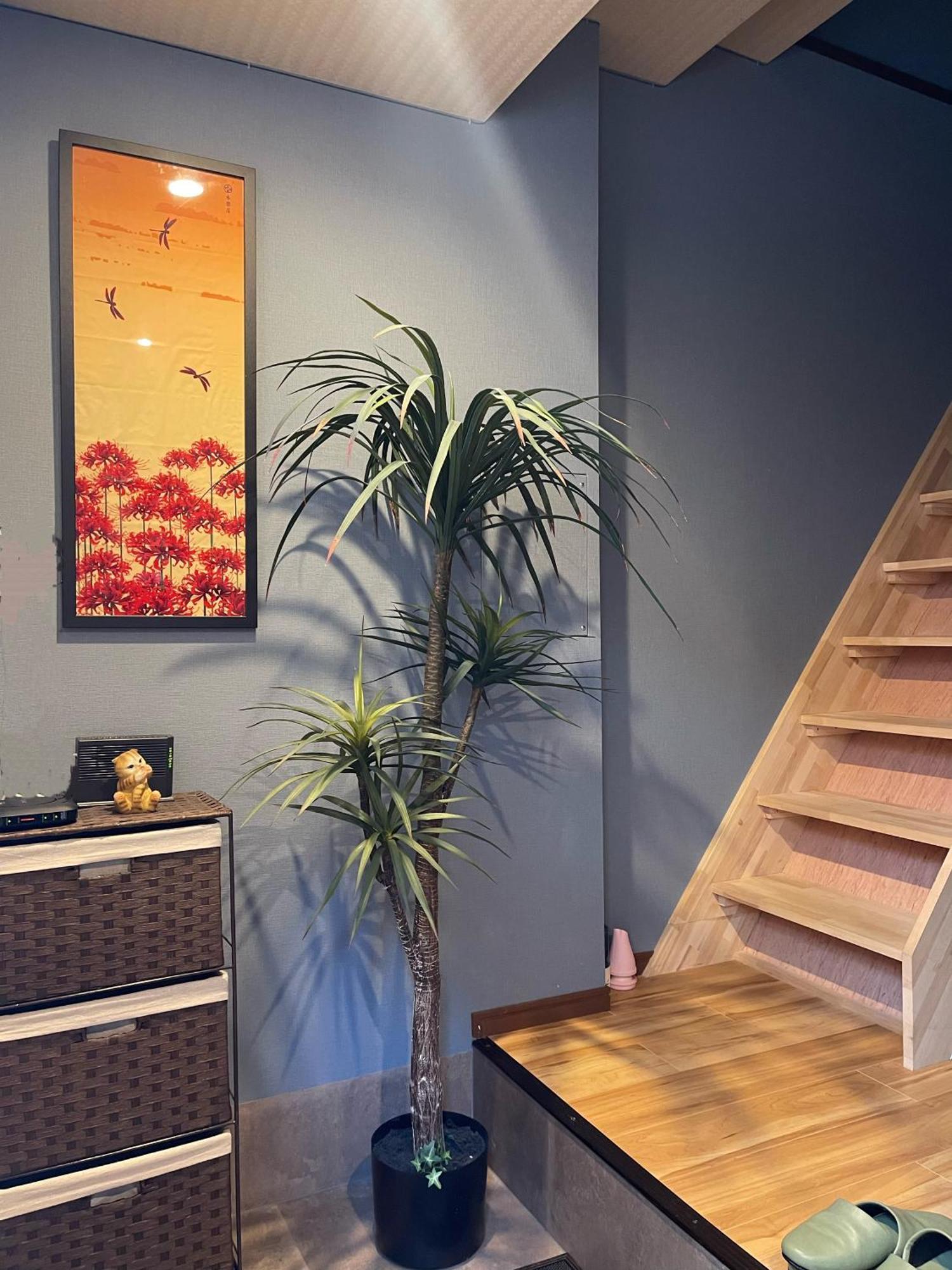 Namba Shinsaibashi 10 Mins Reiko Guest House 오사카 외부 사진